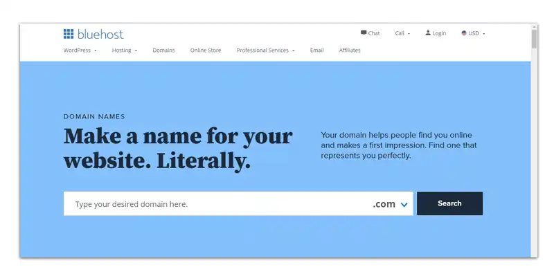 Establish a Domain Name & Hosting