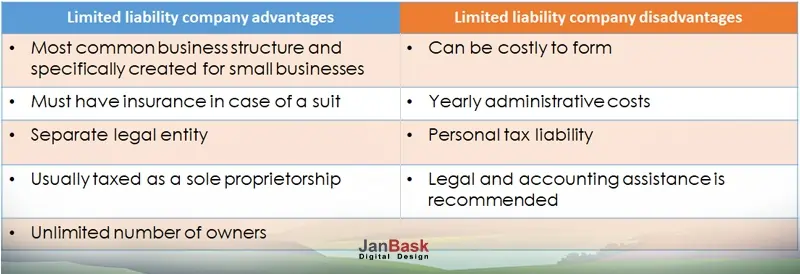 Limited-liability-company-advantages