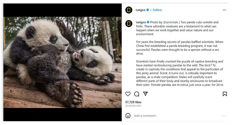  National Geographic excels 