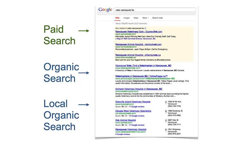 Paid searches & organic searches