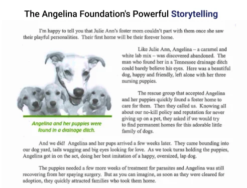 Here’s an example emphasizing the power of storytelling from The Angelina Foundation
