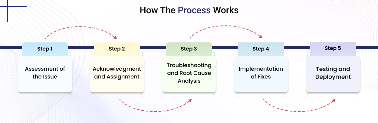 How the Process Works