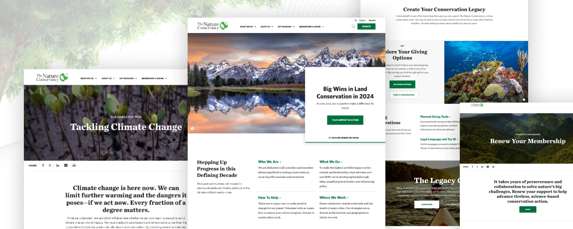 The Nature Conservancy