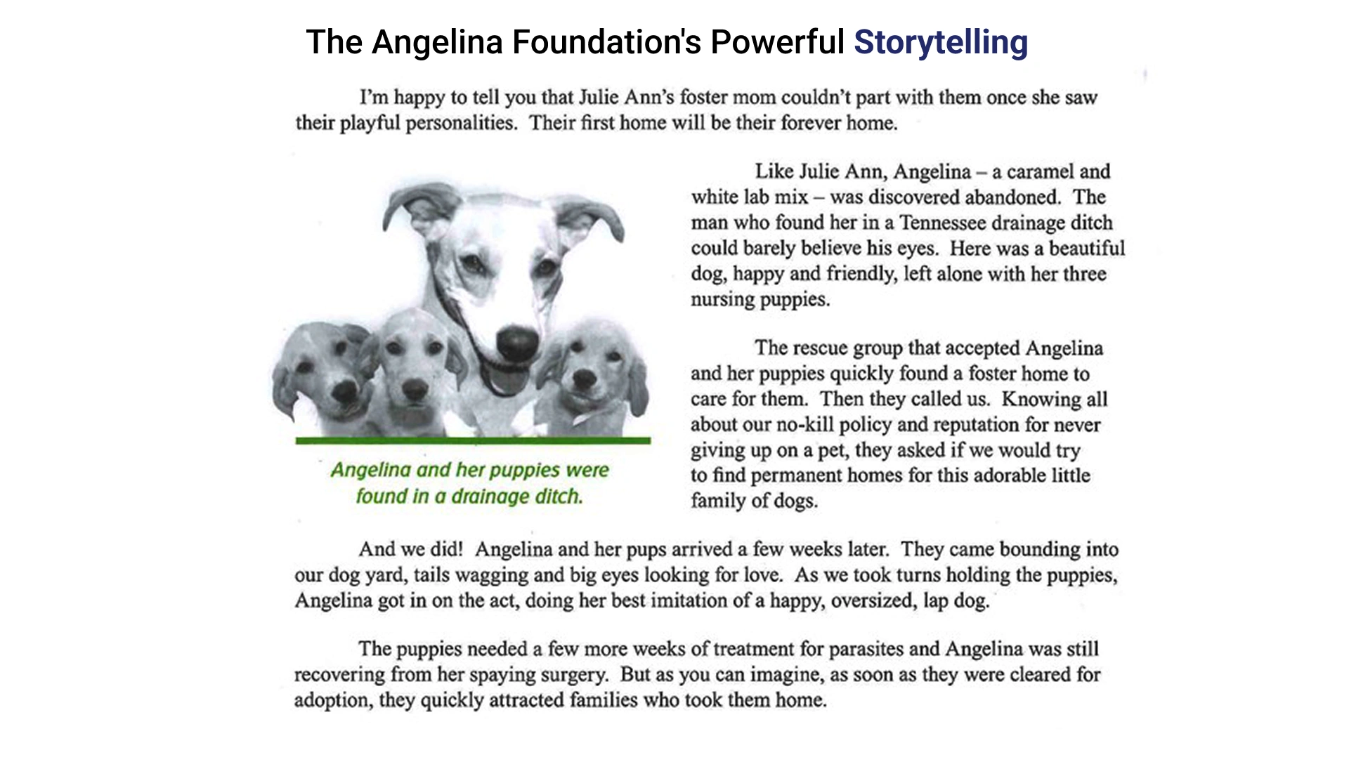 Here’s an example emphasizing the power of storytelling from The Angelina Foundation
