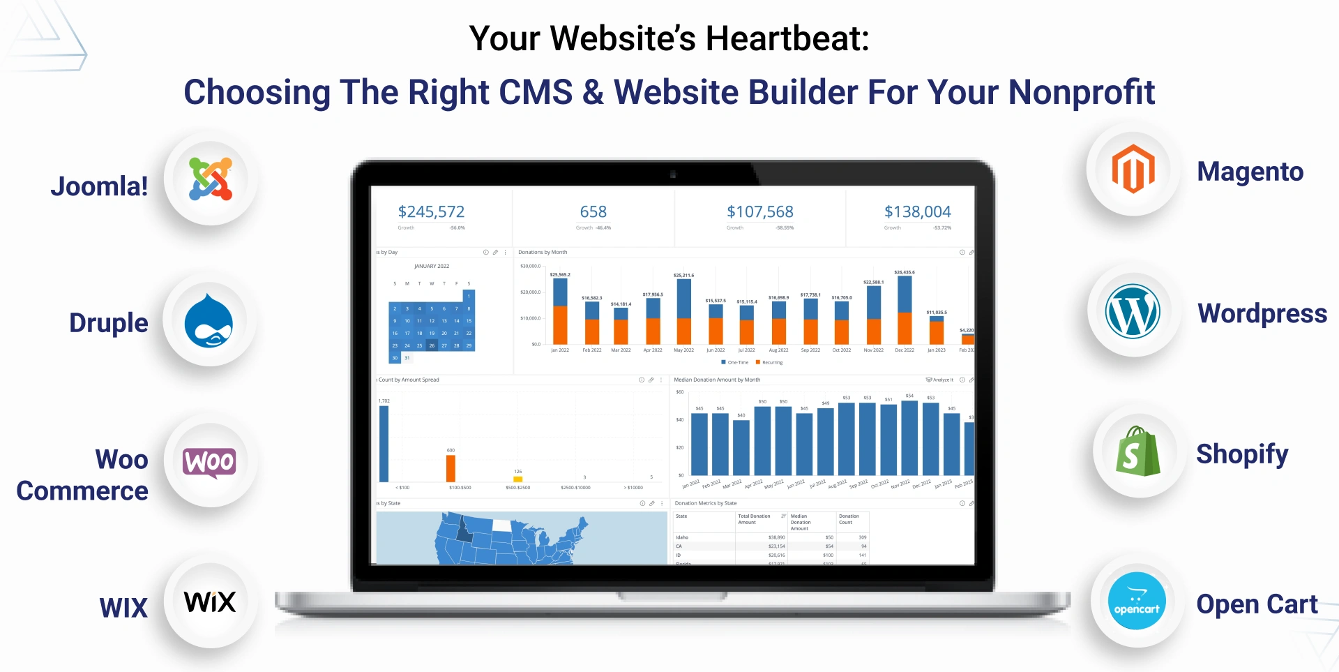 Defining the Technology Scope and Technical Approach In Creating Nonprofit Websites
